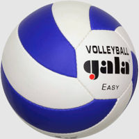 Мяч волейбольный Gala Easy 5083 (9839)