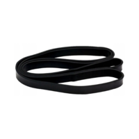 Banda Fitness Elastica 21 Mm