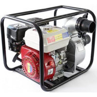 Насос Micul Fermier 3 WP 60 (GF-0246)