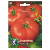 Marmande 1147 (2 grame)