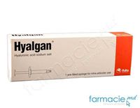 Hyalgan 20mg/ml 2ml sol.inj. N1