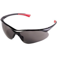 Ochelari de protecție Raider 561401 UVA400