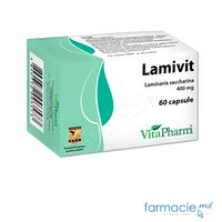 Lamivit caps. 400mg N60 Vitapharm (TVA20%)