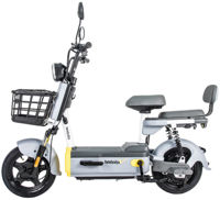 Bicicletă electrică Garow Grey 249w