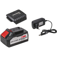 Зарядные устройства и аккумуляторы Raider 32134 Set încărcător și acumulator 20V/4Ah R20