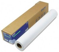 Roll Canvas Epson 13"x6m Water Resistant Matte