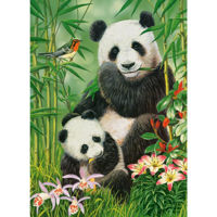 Головоломка Castorland Puzzle B-030507 Puzzle 300 elemente