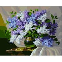 Tablou pe numere Richi (04786) 40x50