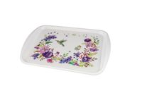 Platou plastic (43.5*30.5 cm)