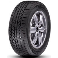 Шина RoadX 175/70 R14 RxFrost WH01 84T