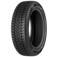Шина Motrio 205/55 R17 95V Fairway Winter XL