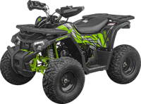 ATV pe benzină Shark 150CC