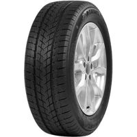 Шина Davanti 225/65 R17XL 106H Wintoura SUV