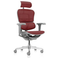 Офисное кресло ART Ergohuman Ultra Scarlet T-168-B3 EHU-AG-HAM-4D Офисное кресло ART Ergohuman Ultra Scarlet T-168-B3 EHU-AG-HAM-4D