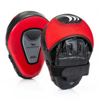 Lapa box (2 buc.) Yakimasport Focus Mitts PRO 100349 (4869)