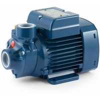купить Гидрофор самовсас.вихревой  h=8м 0,37kW Pedrollo PKm60 +Brio2000 в Кишинёве