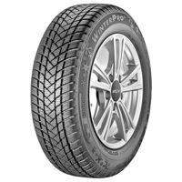 Шина GT Radial 225/55 R16XL 99H WINTERPRO2