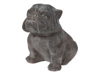 Statuie "Caine Bulldog" 42X33cm