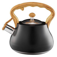 Чайник Ambition 42813 Flavio, 2.0L, stainless steel