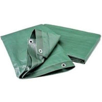 Брезент Greentech Брезент 610gr 3x6 green