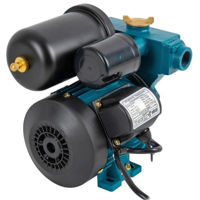 Насос IBO WZCH 250, 2L