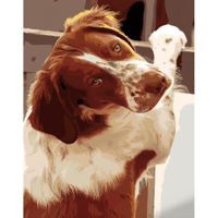 Tablou pe numere Strateg R16 /27 (GS1115)(50760) Aspect devotat, 40x50 cm