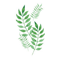 Картина по номерам Richi (04977) 40x50