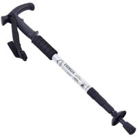 Треккинговые палки Arena 91053 серебро