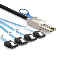 RAID Cable SFF-8088 TO 4x SATA, 1m