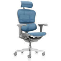 Офисное кресло ART Ergohuman Ultra Cobalt T-168-B4 EHU-AG-HAM-4D Офисное кресло ART Ergohuman Ultra Cobalt T-168-B4 EHU-AG-HAM-4D