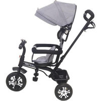 Bicicletă-cărucior Richi JTR3200/1 gray