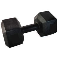 Гантель sport STI1730 Ganteră hexagonală 1 x 10 kg