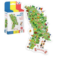 Настольная игра Dodo 200283 Joc magnetic: Harta Moldovei, 16el