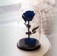 купить Вечная Синяя Роза в колбе в Кишинёве