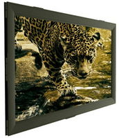 Fixed Frame Projection Screen SOPAR ARIES 8272AR, 270x152cm (283x165), Ratio 16:9