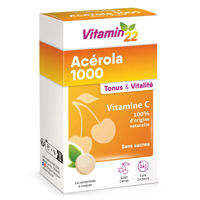 INELDEA Vitamin 22 Acerola 1000 + Vit.C comp.mastic. N24