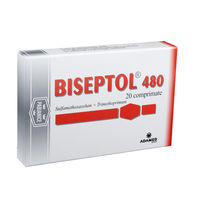 Biseptol 480mg comp. N20