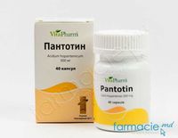 Пантотин, капсулы 500 мг N40