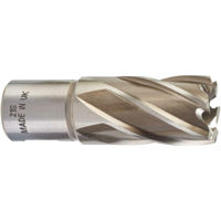Набор головок, бит, насадок Milwaukee 4932343277 Freza inelara HSS Ø21x30mm