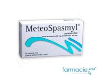 MeteoSpasmyl® caps. moi 60mg+300mg N10x2 Biessen