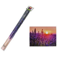 Decor ProGarden 22898 Холст интерьерный Лаванда 80Х60cm, 3 дизайна