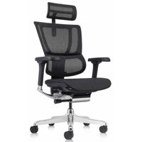 Офисное кресло ART Mirus IOO Elite 2 Black T-168-B1 IOOE2-AB-HAM-5D-L