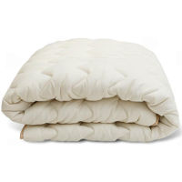 Textile de casă Almir Plapumă de Iarnă Standart 220x240cm Ivory