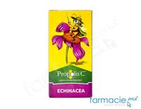 Propolis C Echinacea comp. N30 Fiterman