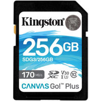 Card de memorie flash Kingston SDG3/256GB