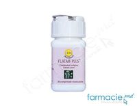 Flatam-Plus® comp. masticab. 100 mg + 100 mg  N30