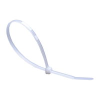 купить Стяжки нейлоновые для кабеля FHS 5x300 белые (100шт) в Кишинёве