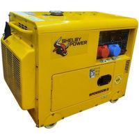 Генератор Shelby Power SPD6500S 5.0 kW 230V tip inchis