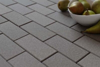 Tротуарная плитка вибропрессованная 200x100x60mm