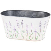 Ghiveci pentru flori ProGarden 46629 Кашпо металл 24x19x10.5cm, Травы